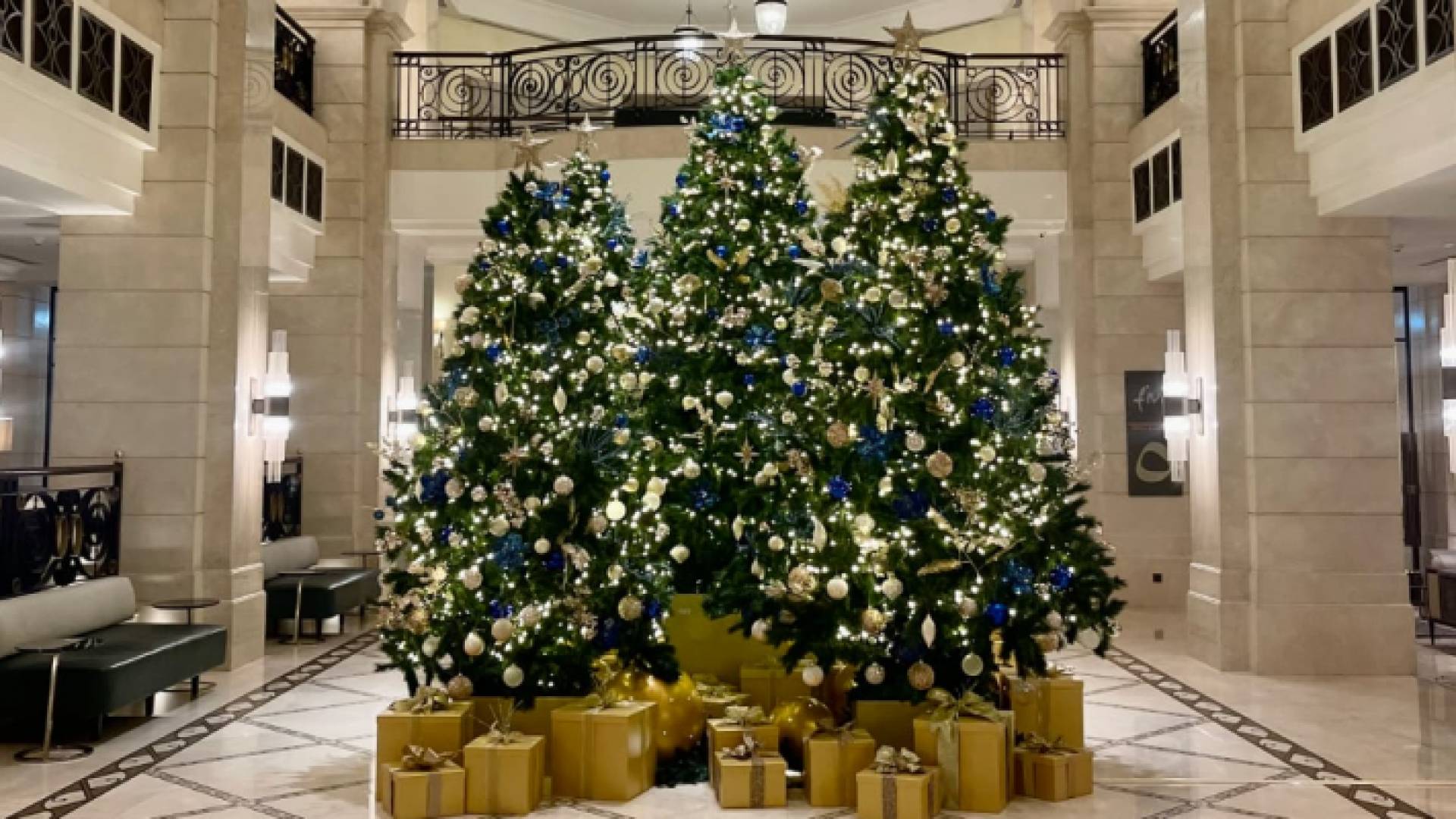 شجرة الميلاد