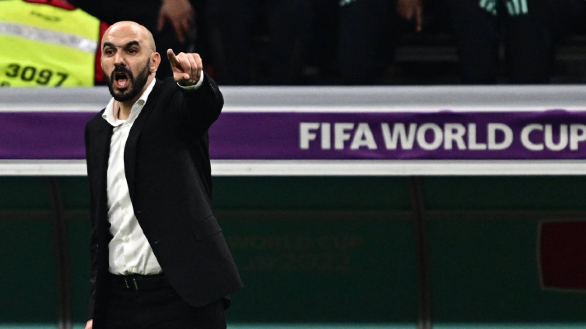 وليد الركراكي