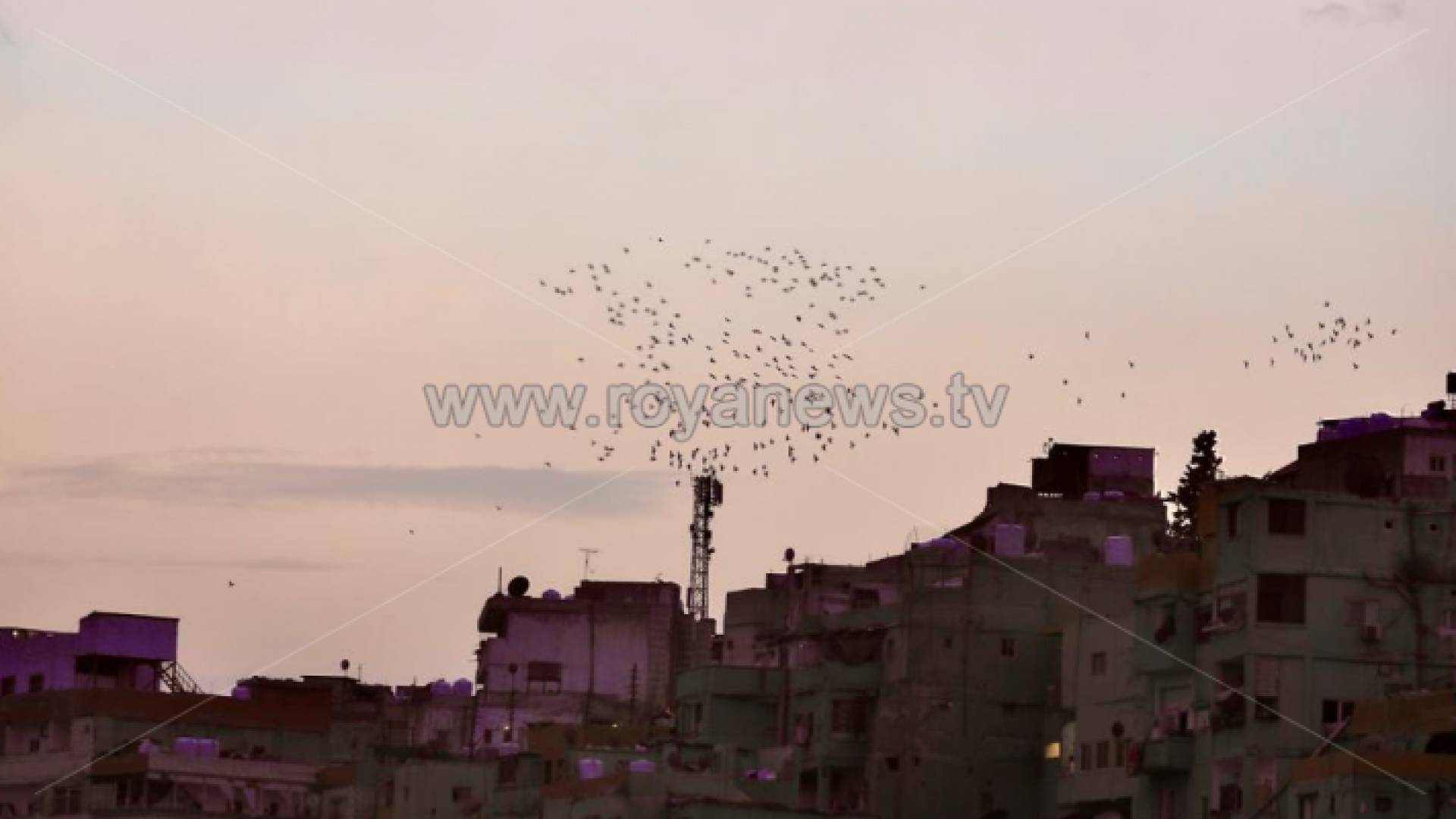 جانب من العاصمة عمان - ارشيفية