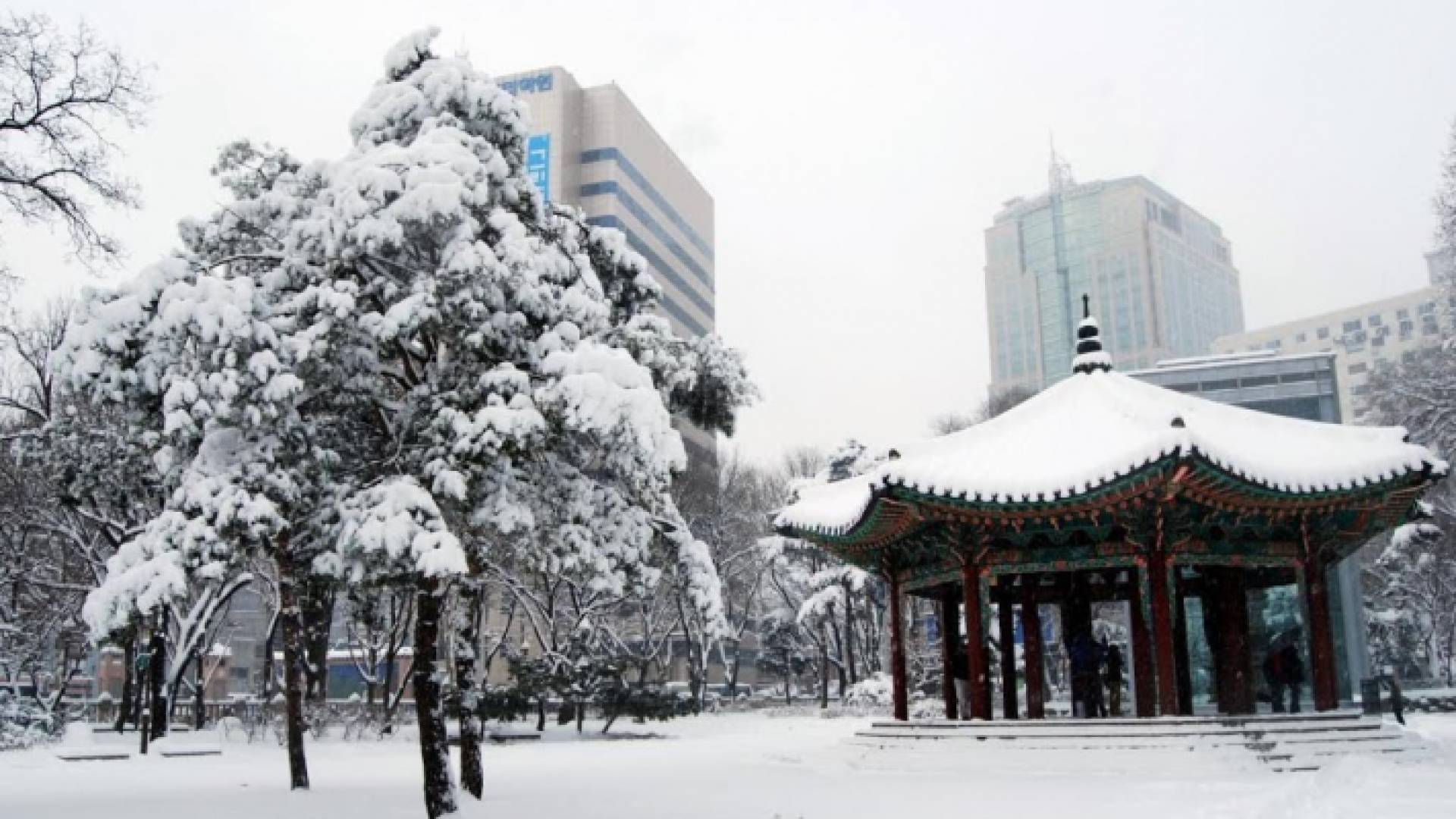 ثلوج في كوريا الجنوبية