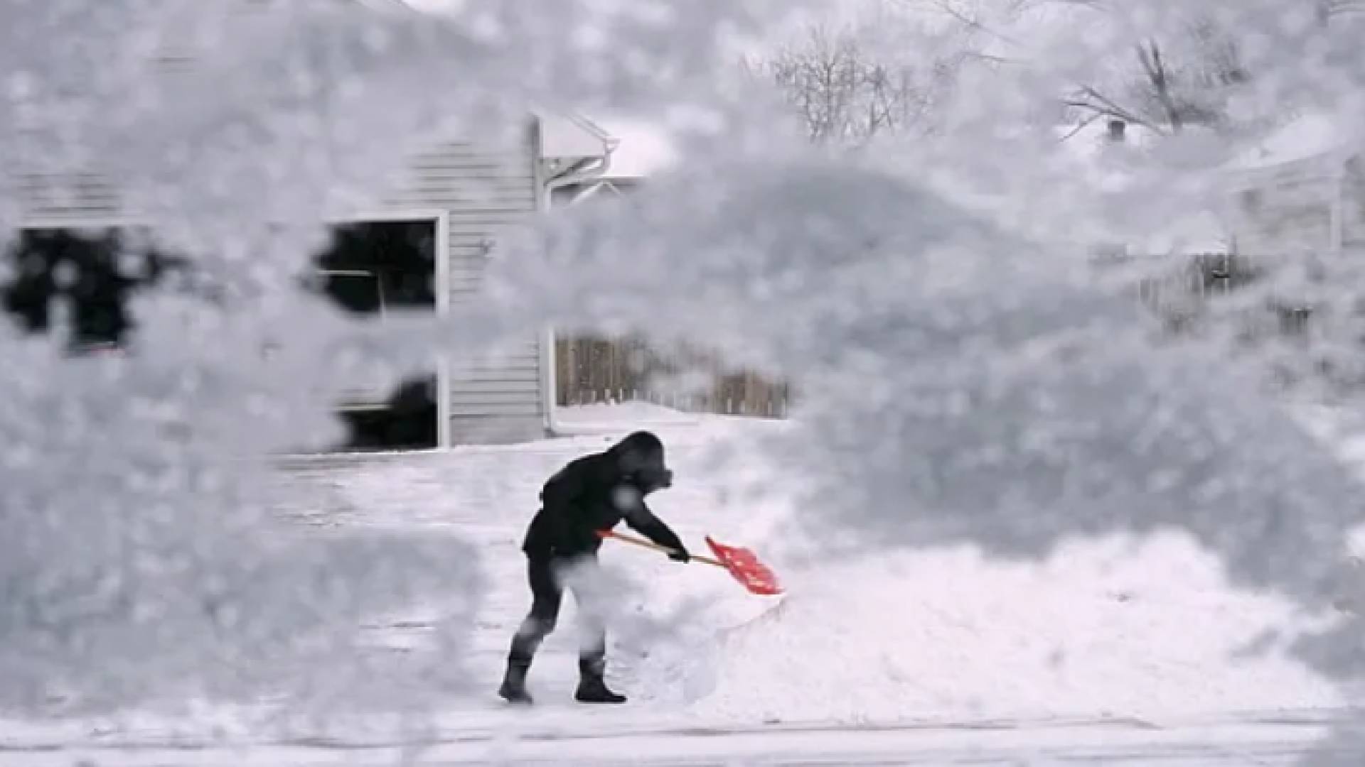 العاصفة الثلجية في كندا