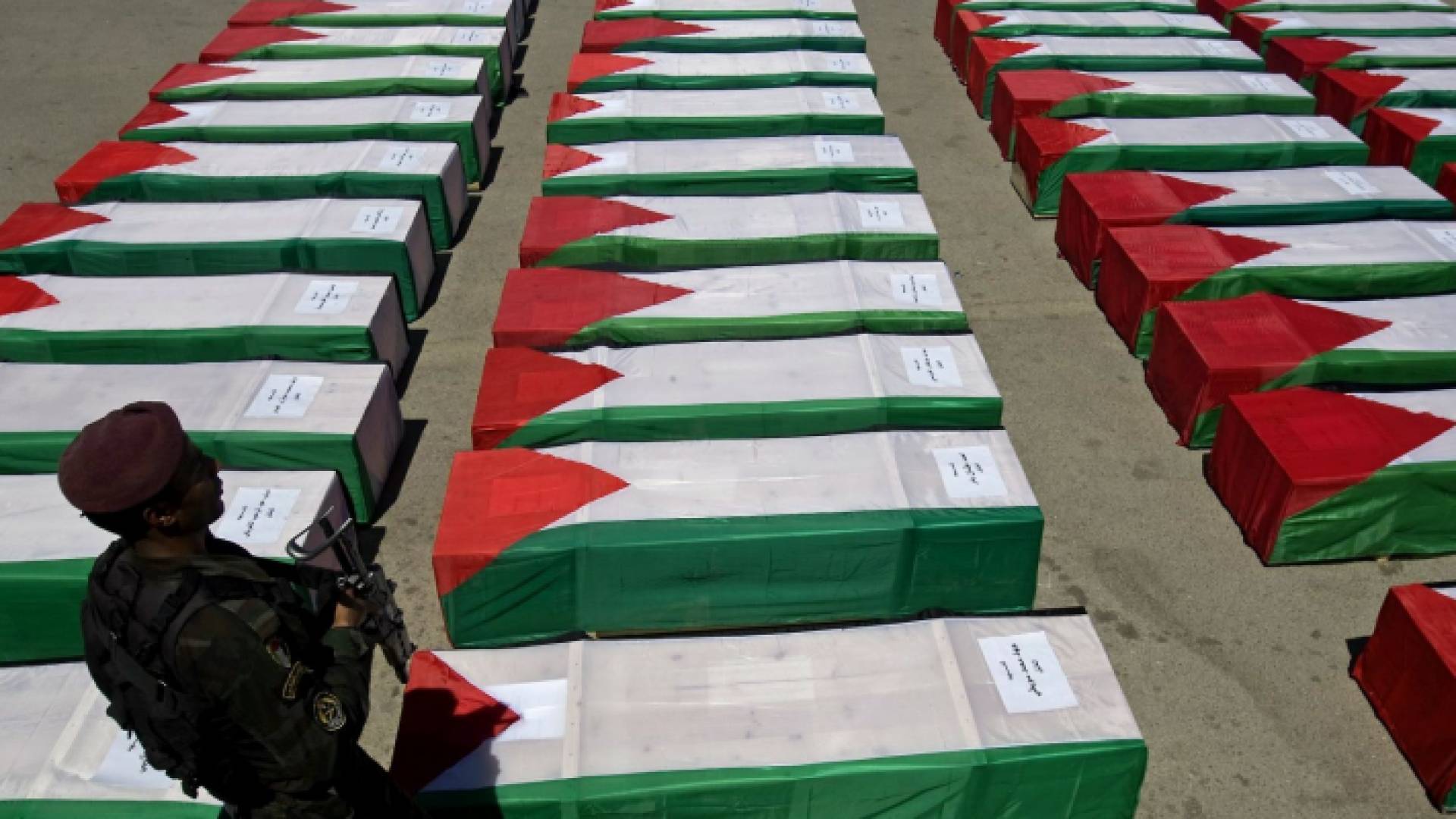 جثامين شهداء - ارشيفية