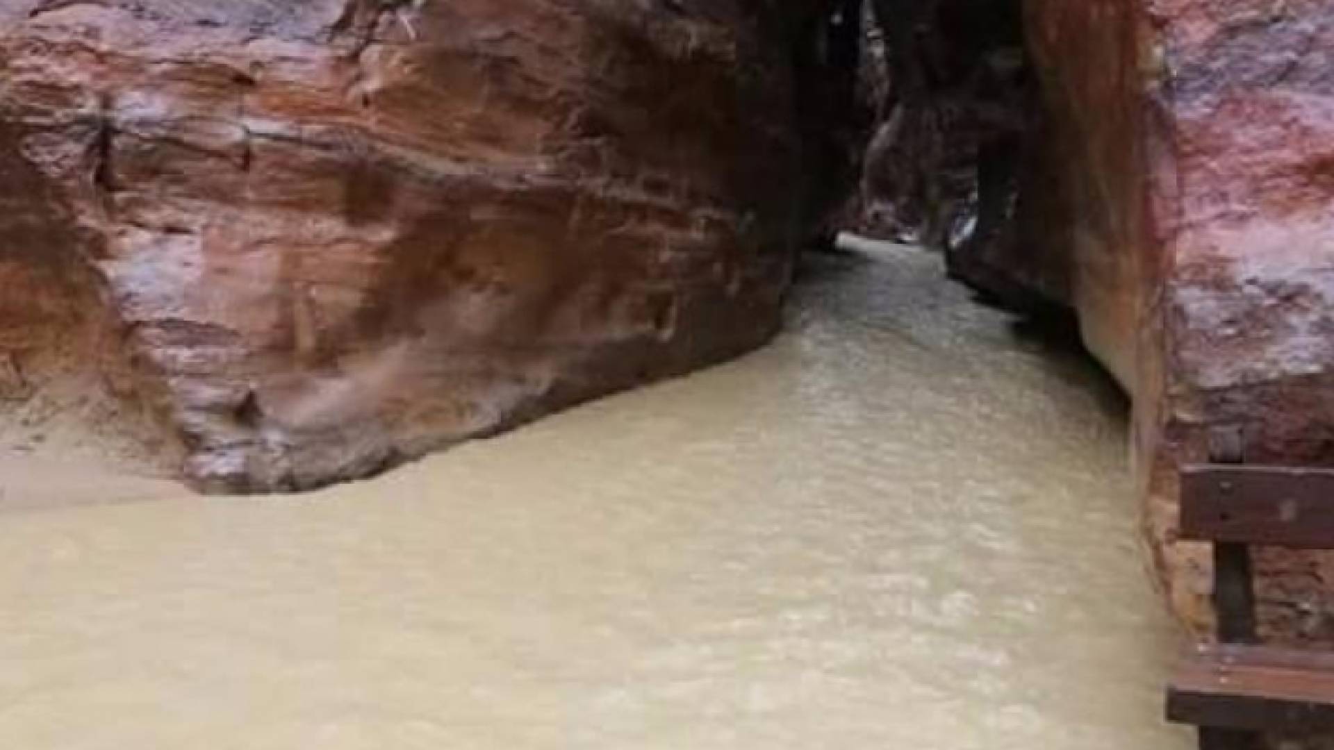 جانب من تجمع المياه في المنطقة