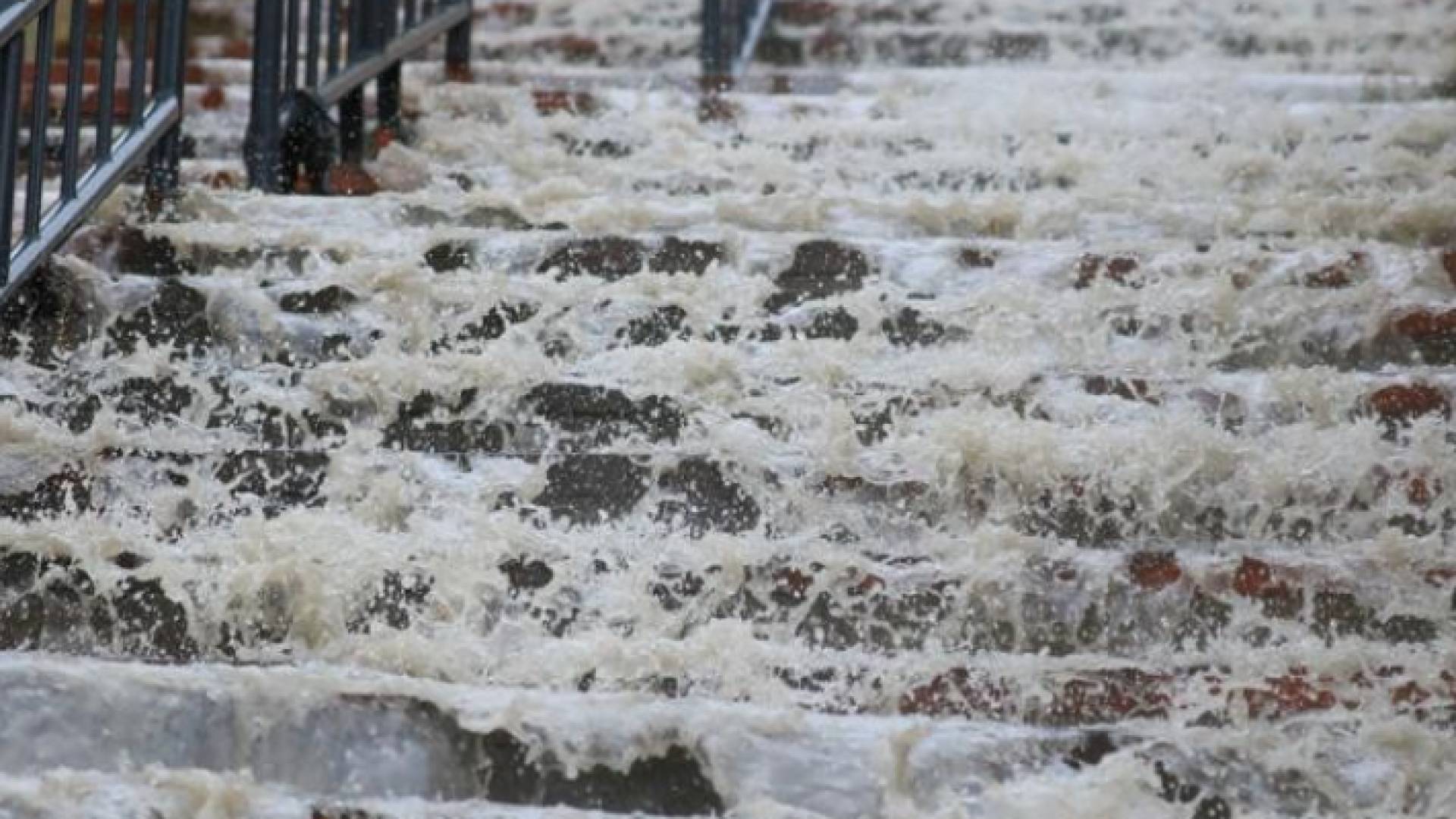 درج في العاصمة عمان بعد هطول الأمطار الغزيرة