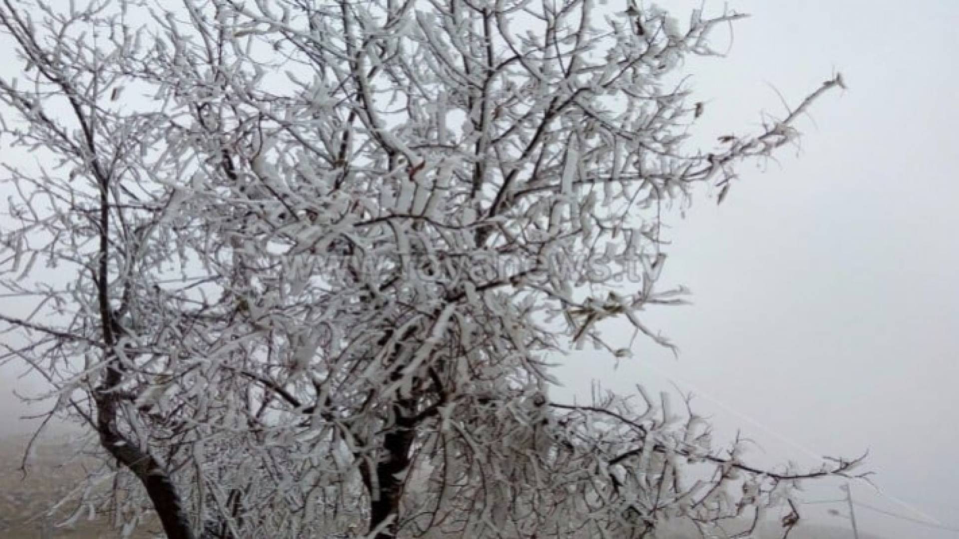 صورة أرشيفية من الثلوج المتساقطة على جبال الشراه