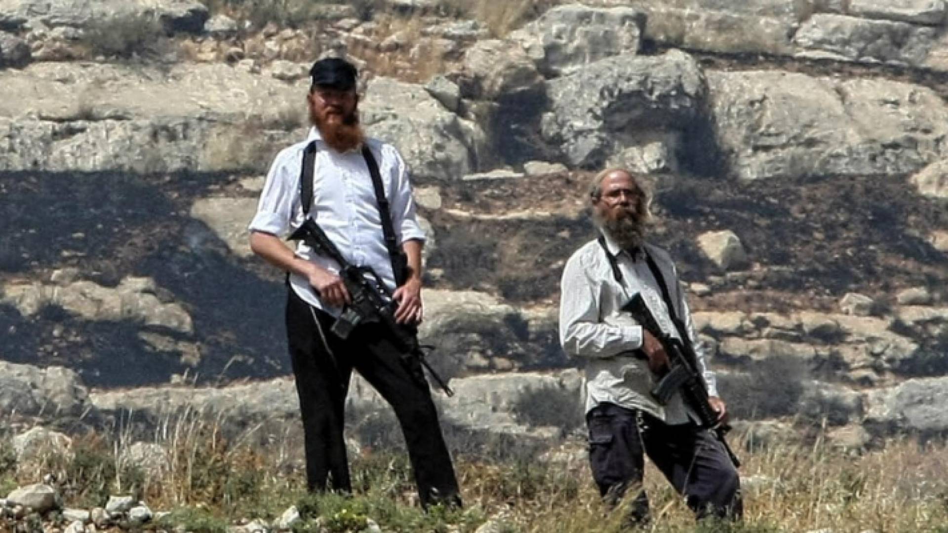 مستوطنون في أحد الأراضي الفلسطينية - أرشيفية