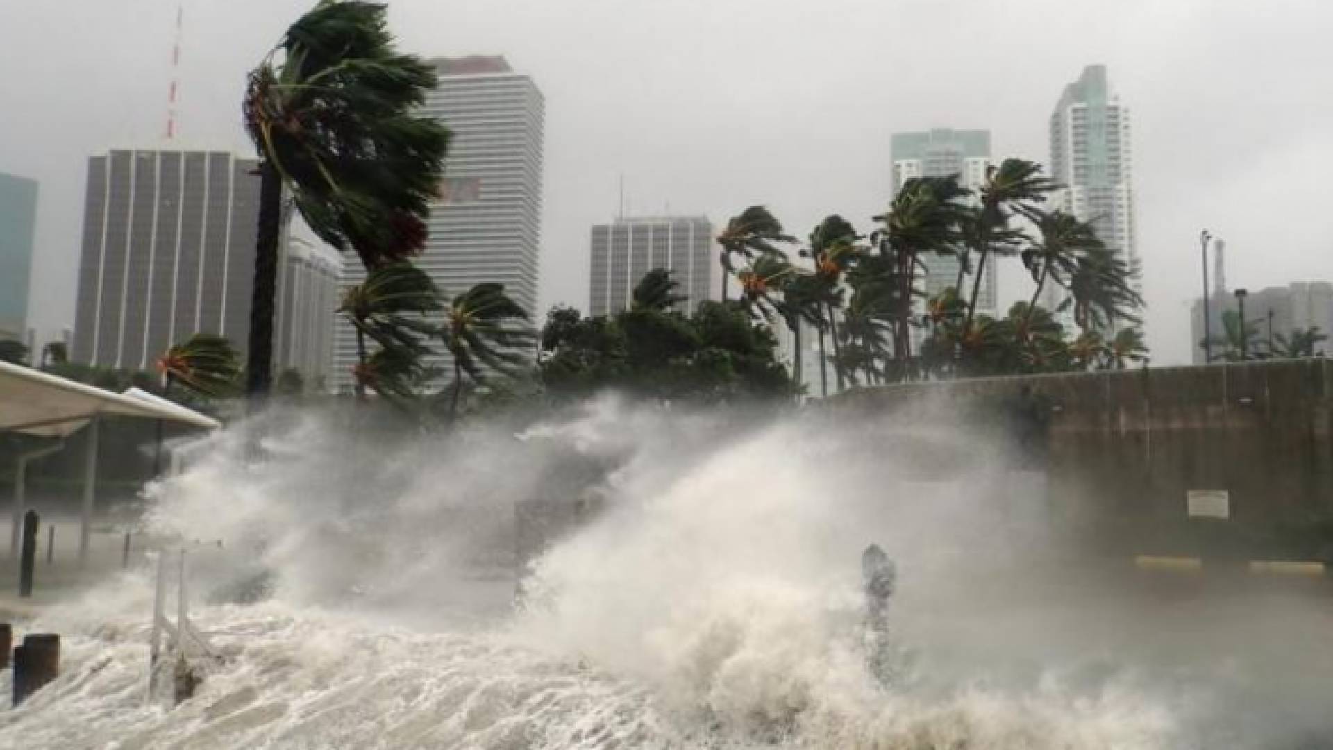 عاصفة تجتاح إحدى الضواحي الأمريكية