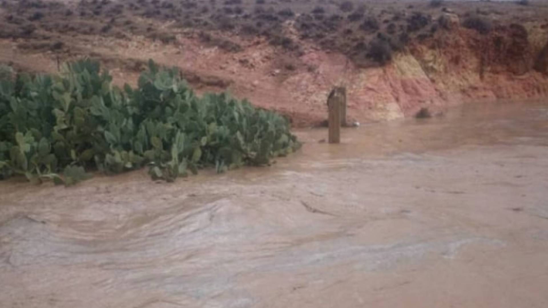 أحد السيول في الأردن