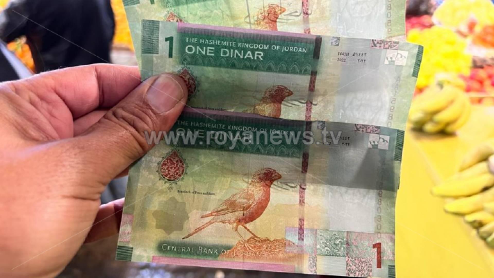 الإصدار الخامس من الدينار الأردني