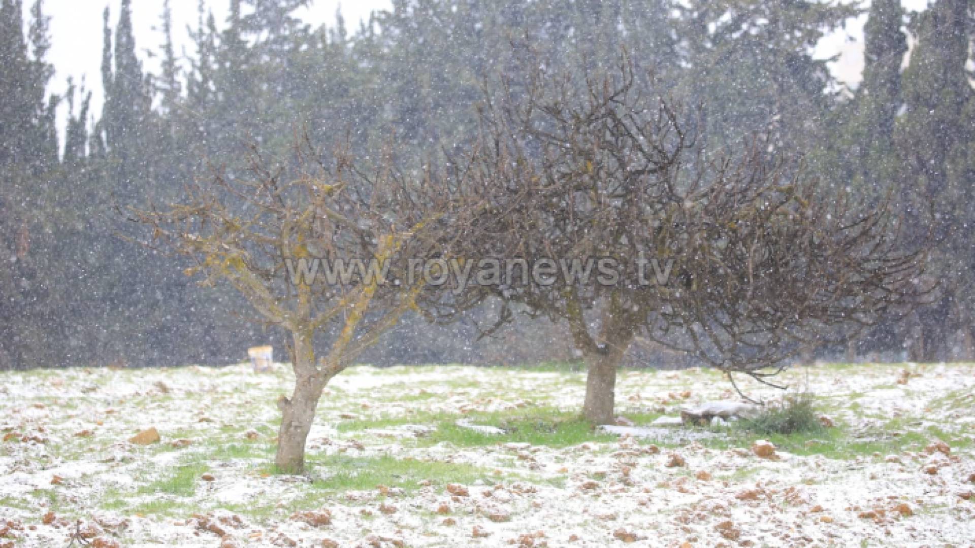 زخات ثلجية - أرشيفية