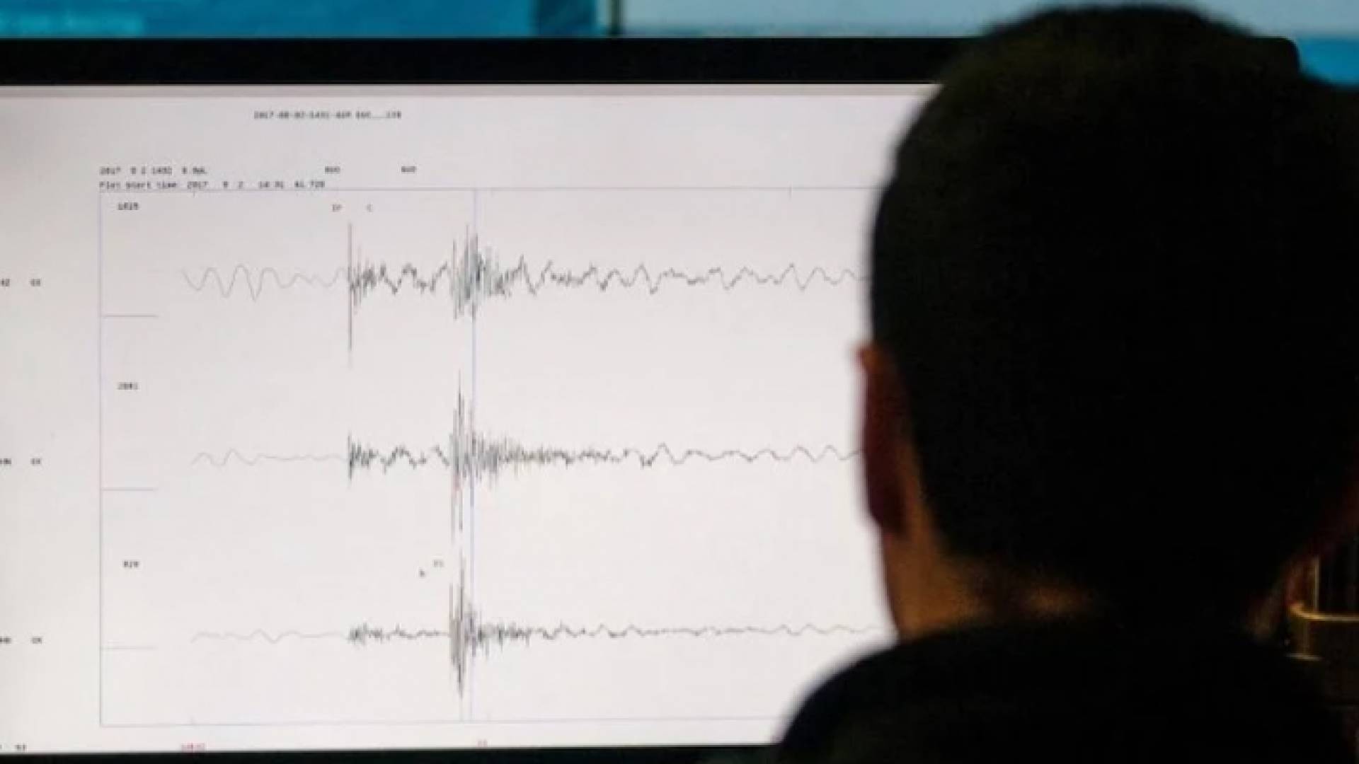 صورة تعبيرية لتسجيل نشاط زلزالي