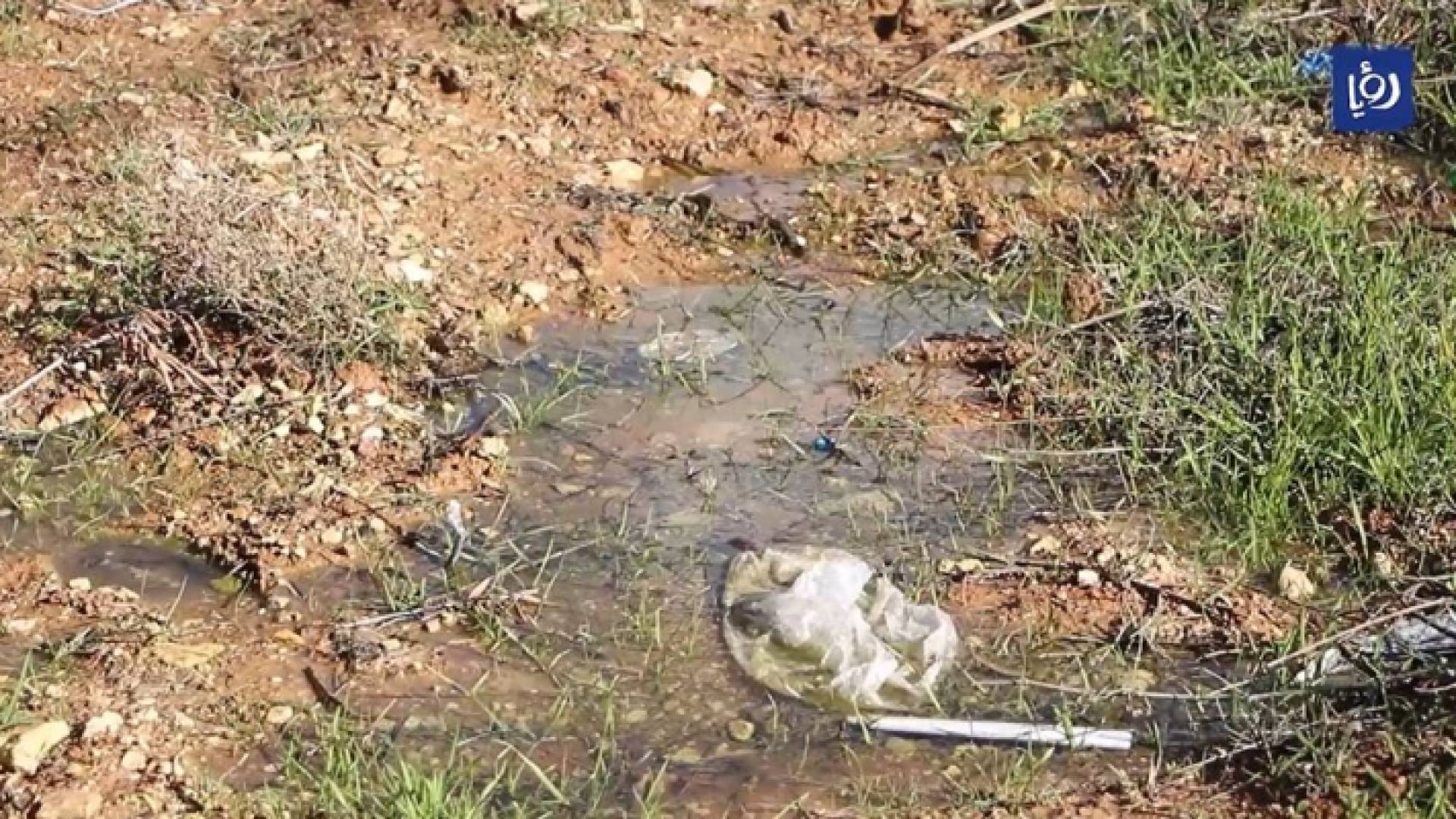 حفرة امتصاصية