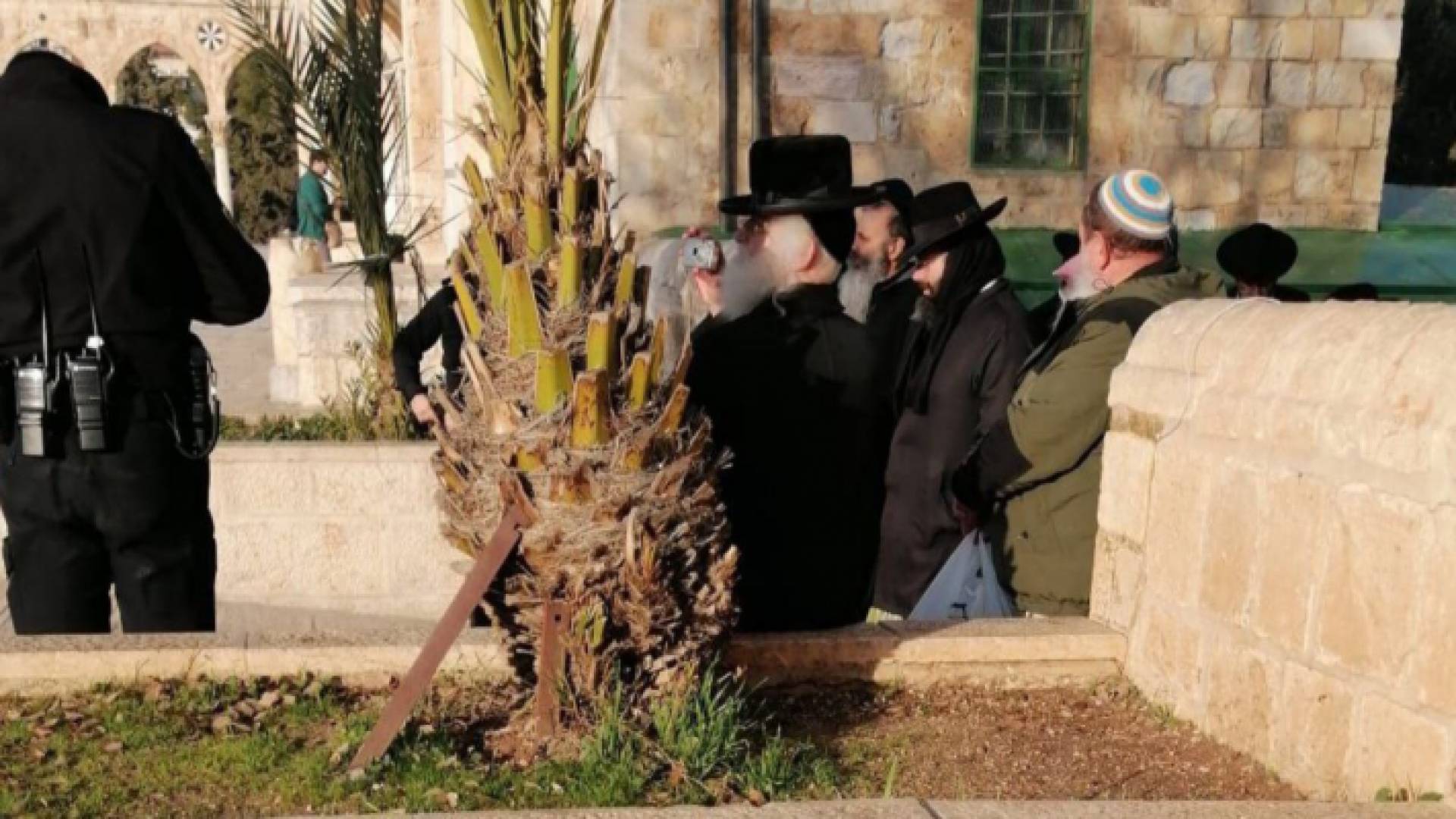 مستوطنون يقتحمون باحات الأقصى