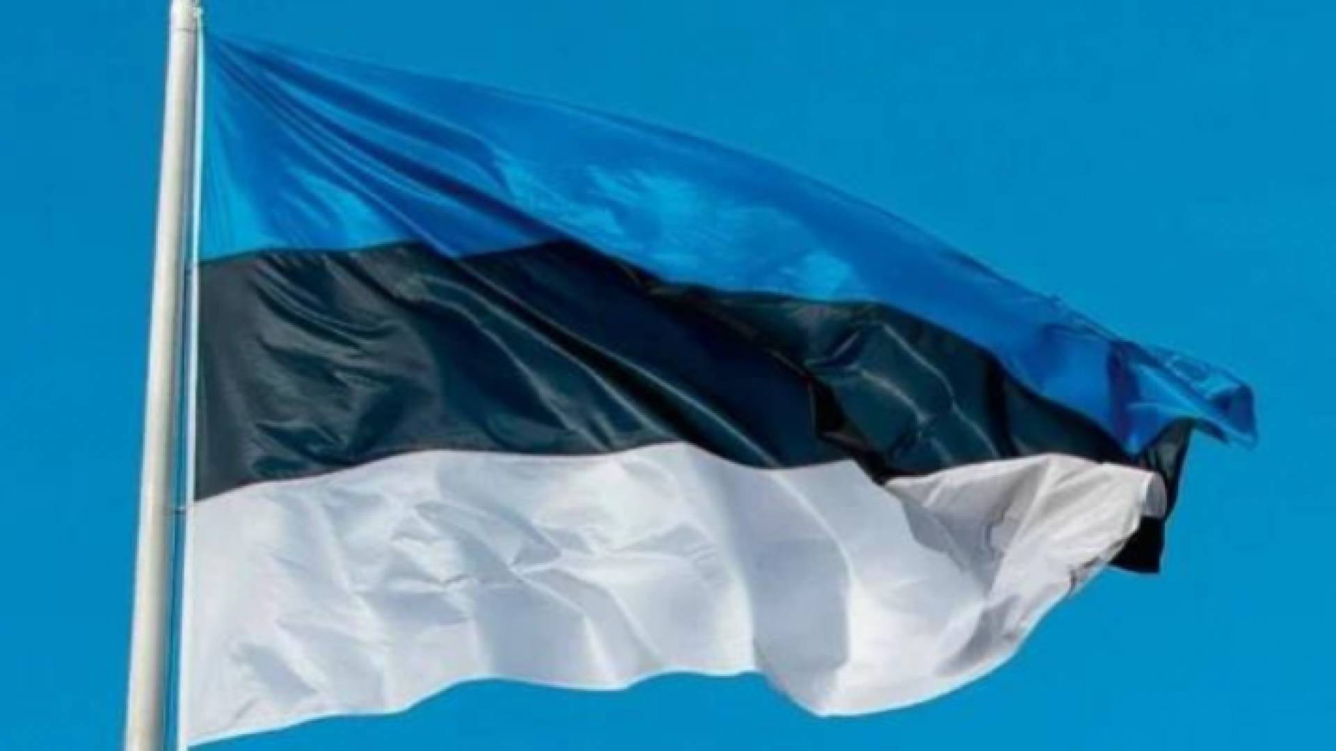 علم إستونيا