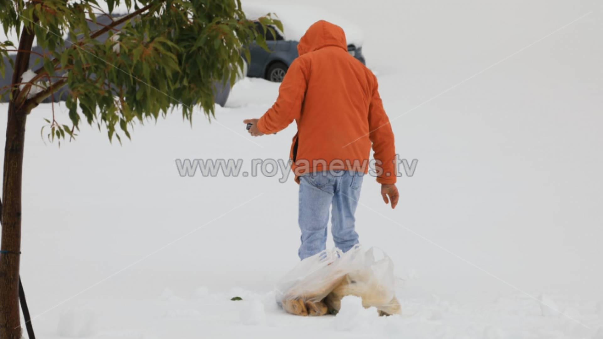 شخص يمشي وسط الثلوج - أرشيفية