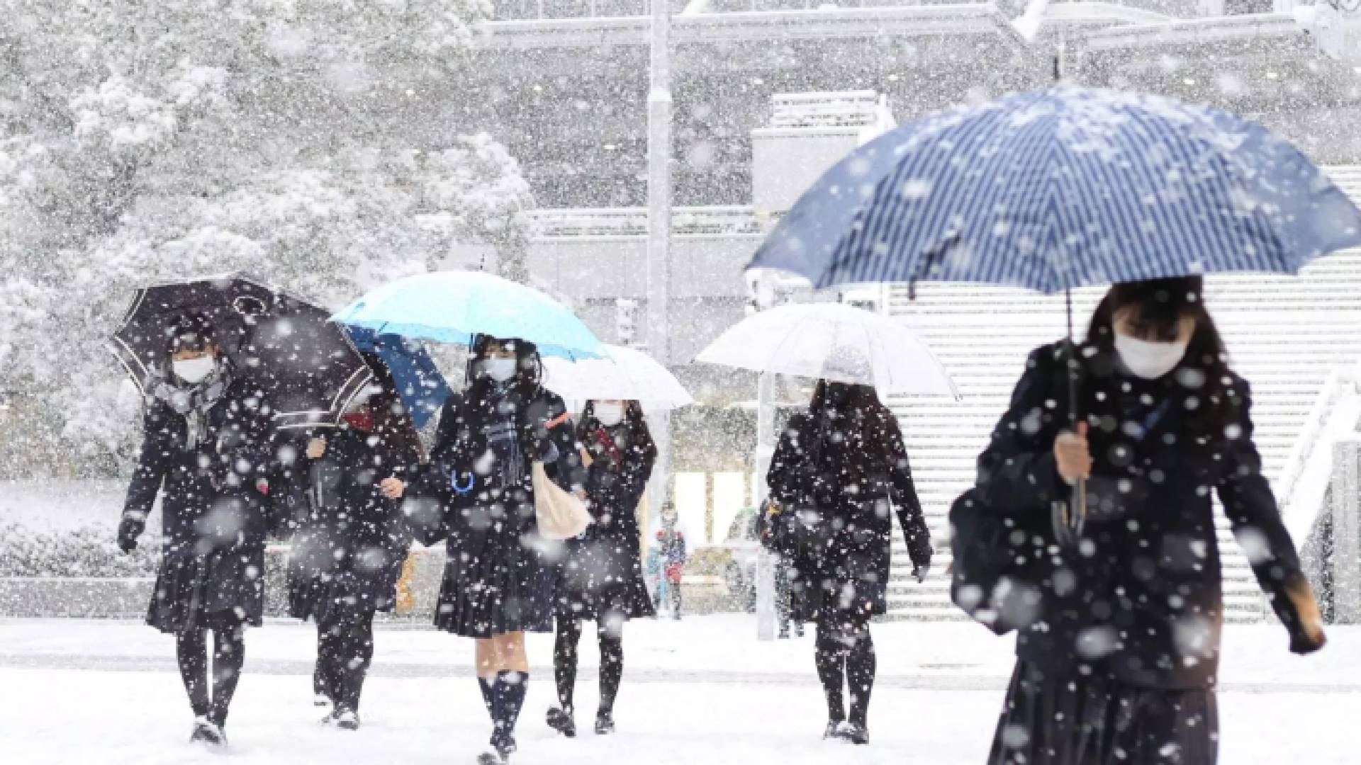 ثلوج اليابان