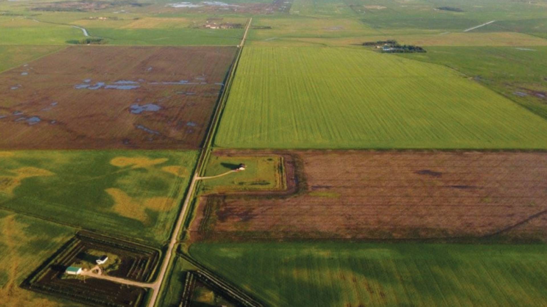 قطعة أرض واسعة