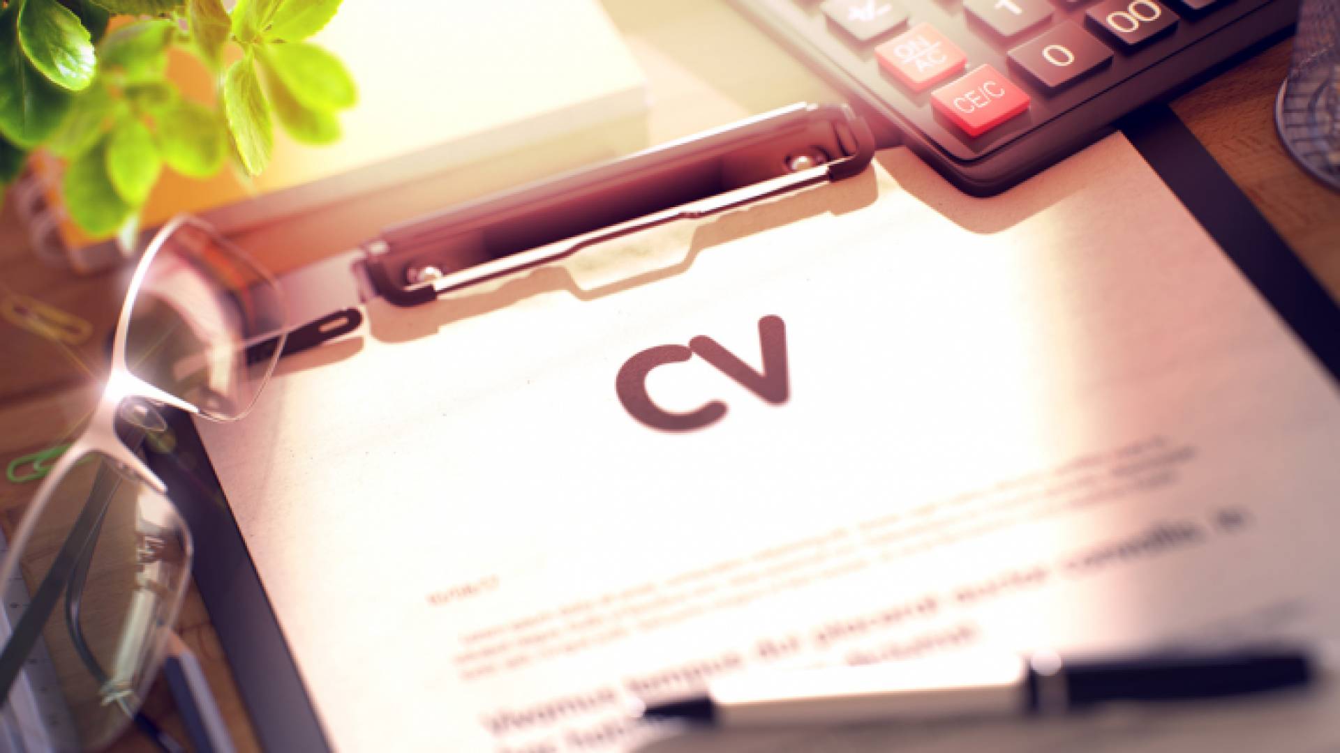 السير الذاتية