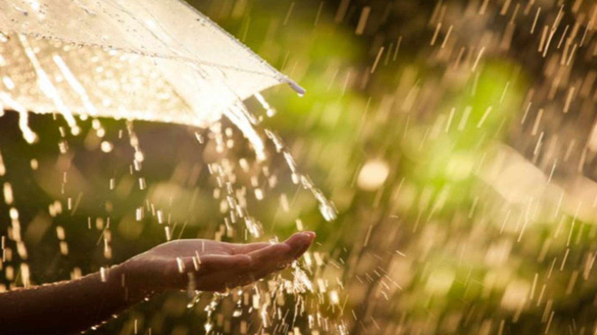 تساقط الأمطار - ارشيفية