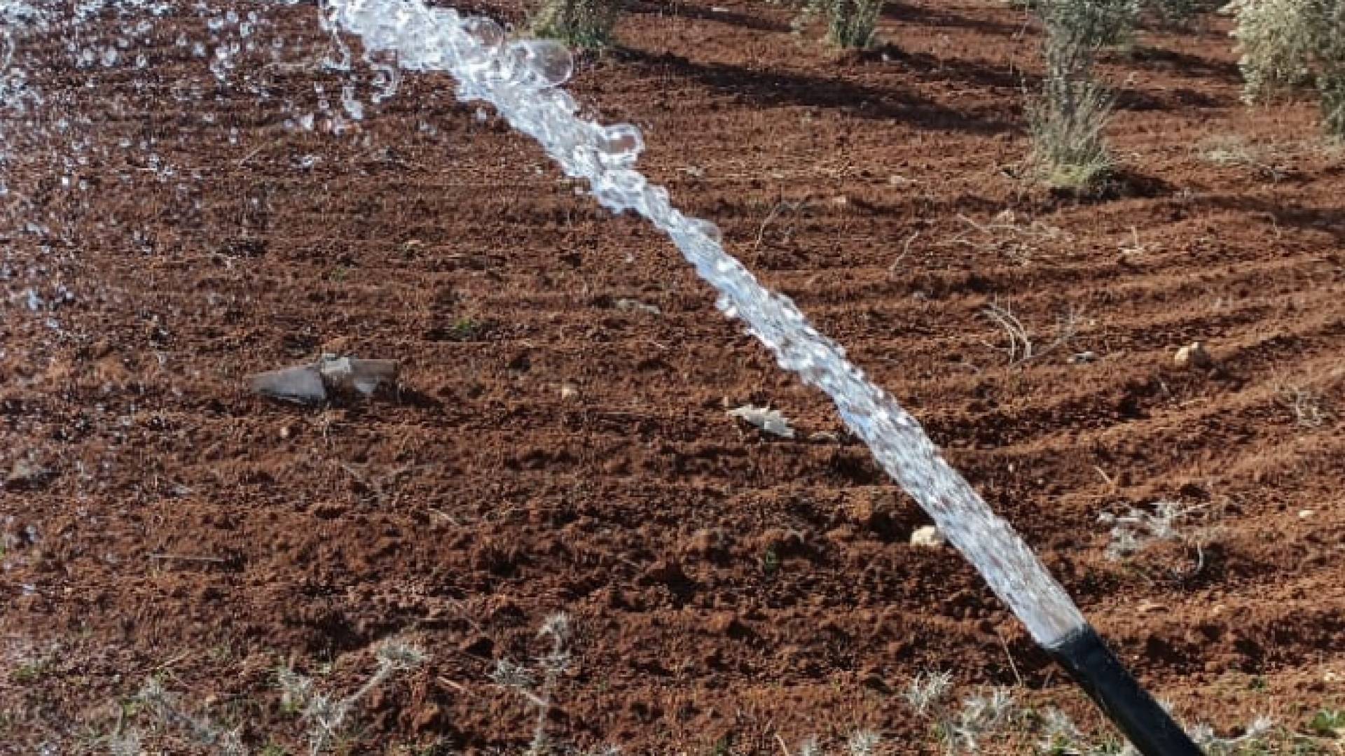 جانب من الاعتداءات التي ضبطت غرب مأدبا