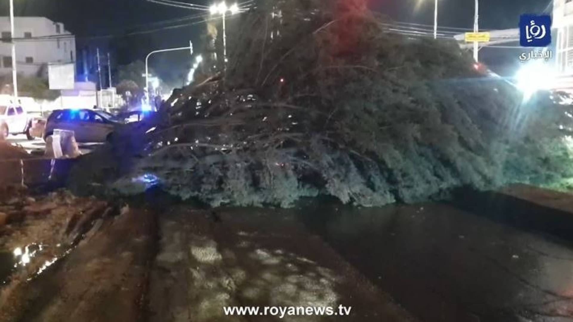 سقوط شجرة حرجية على طريق رئيسي
