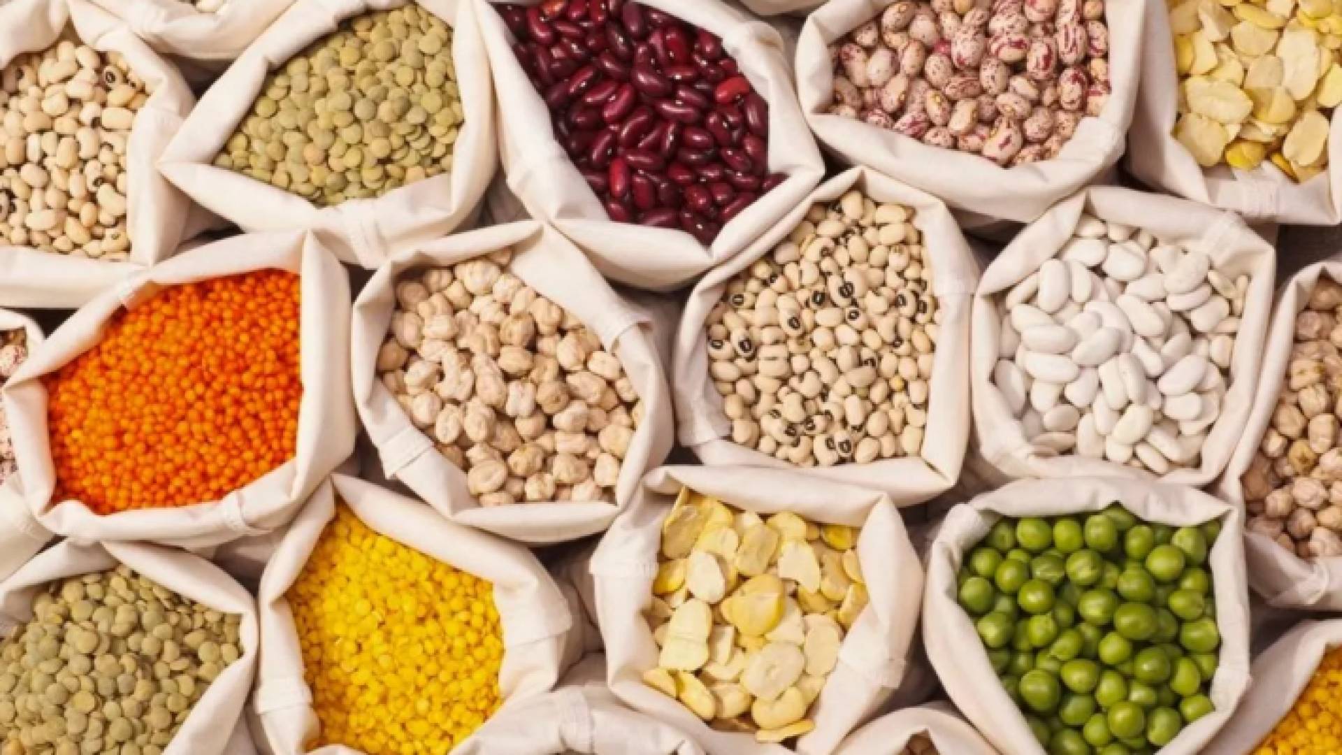 أصناف متنوعة من الحبوب