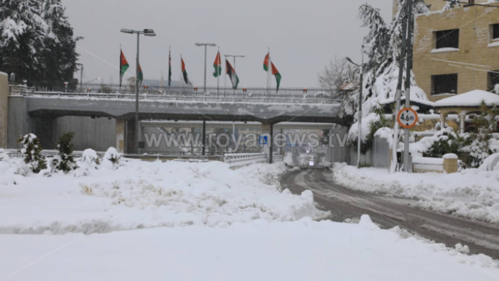 مركبات في العاصمة عمان