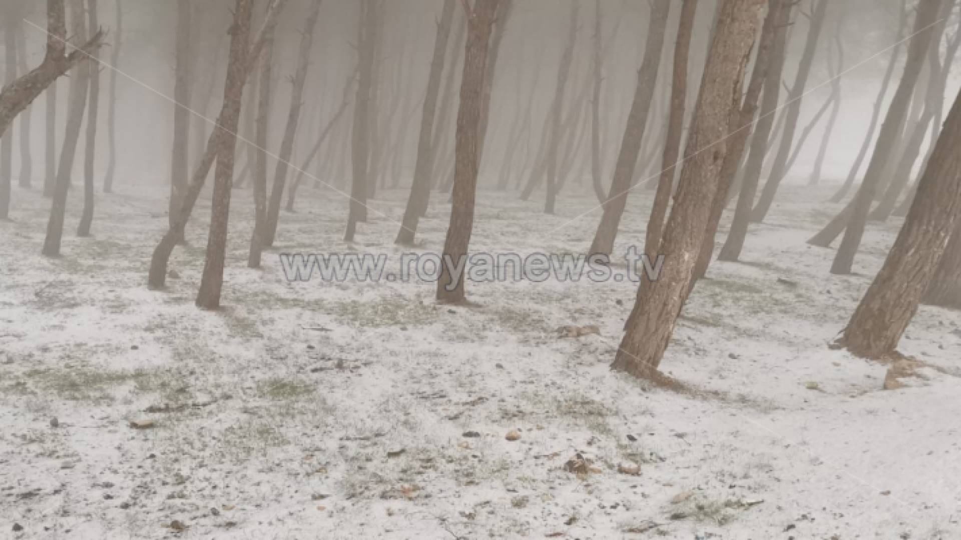 ثلوج متراكمة في أحد المناطق في المملكة