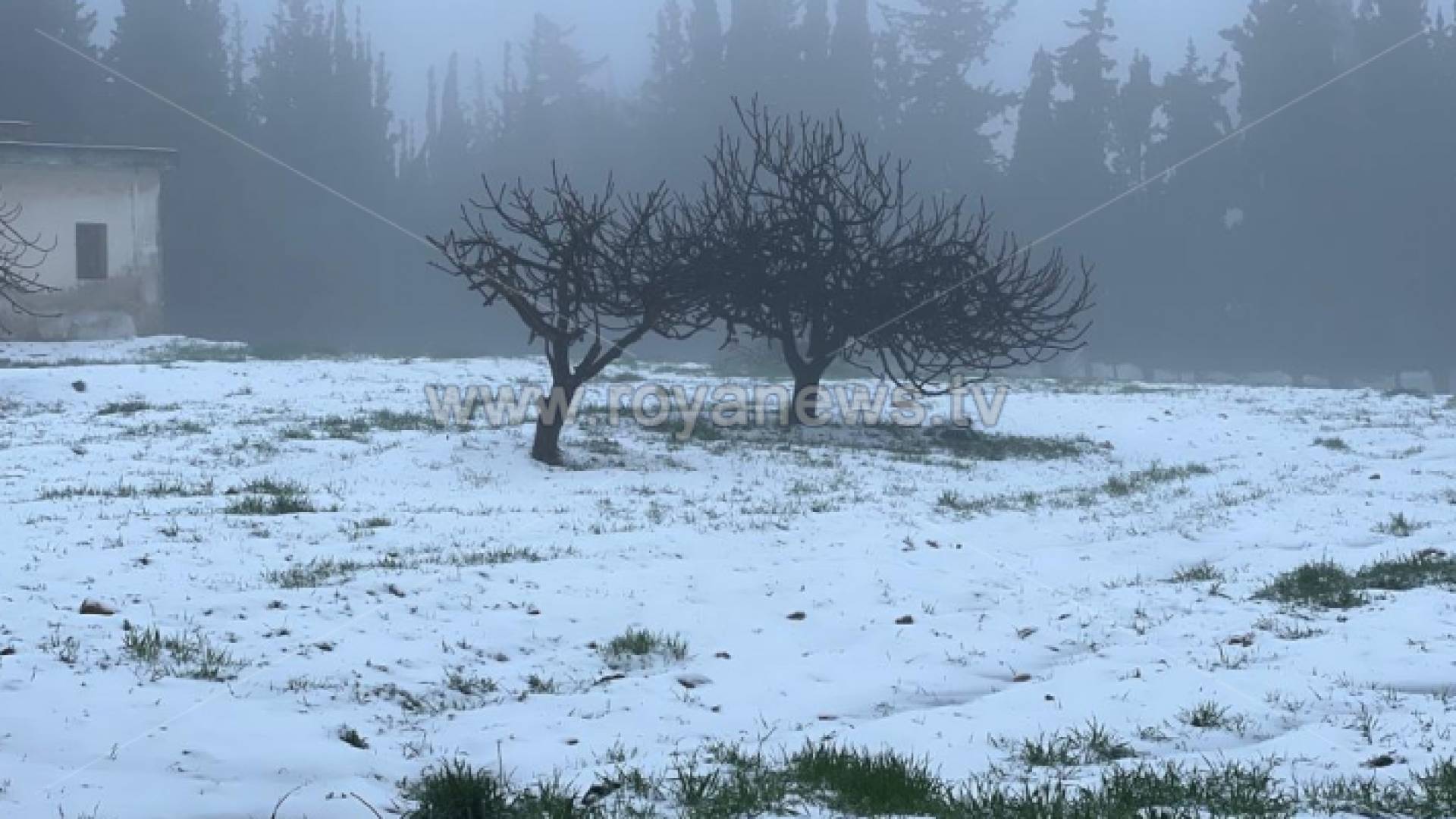 ثلوج متراكمة