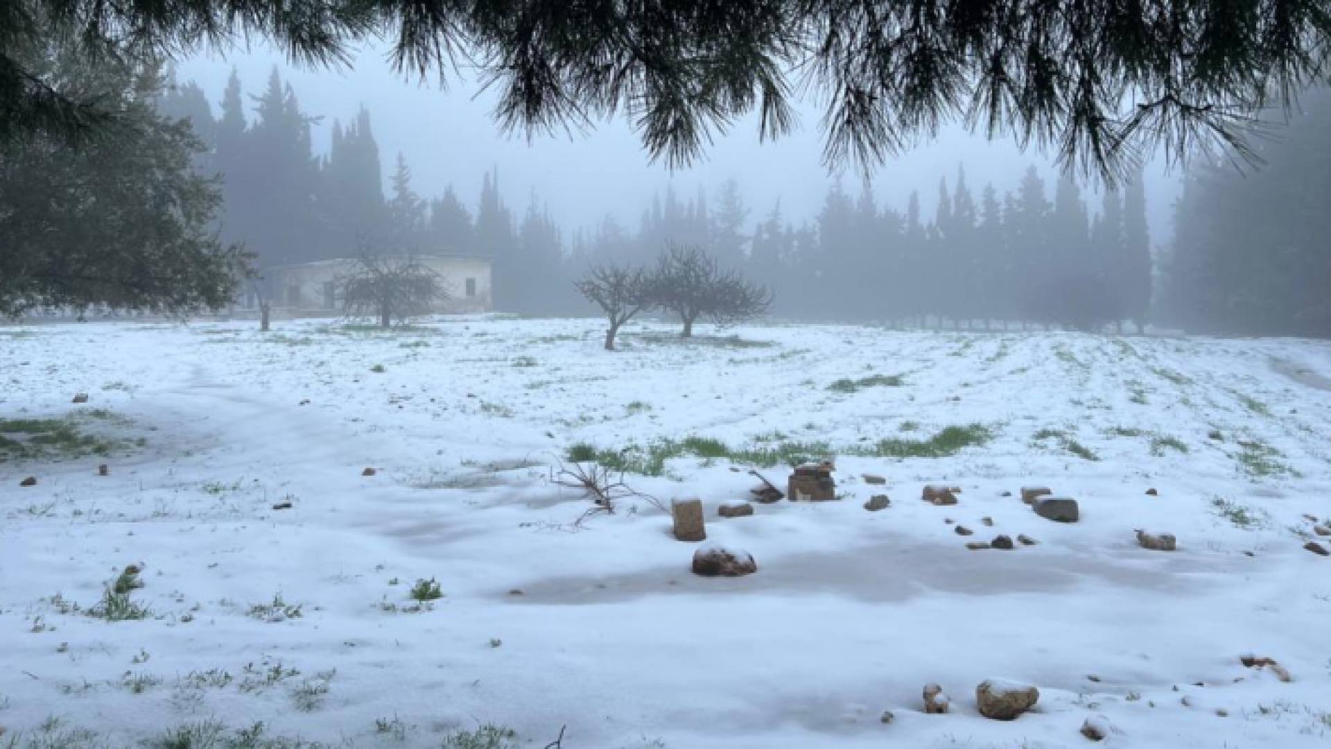 ثلوج متراكمة