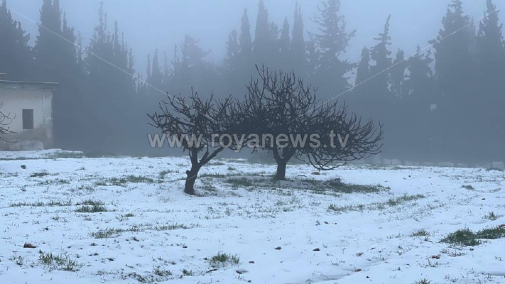 ثلوج الأردن