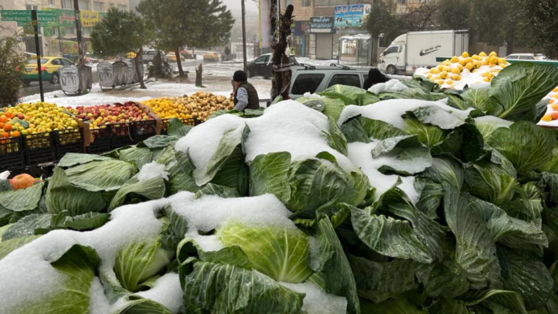 ثلوج متراكمة على أصناف من الخضار