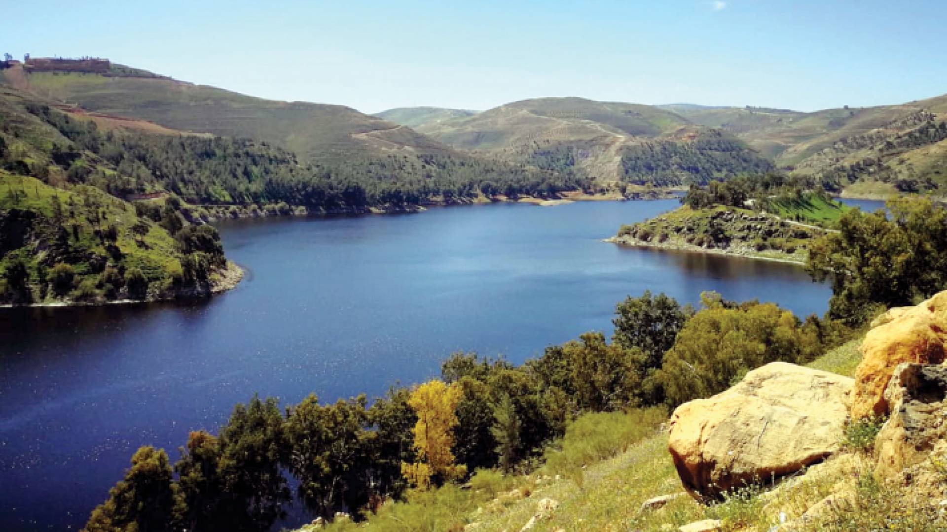 سد الملك طلال