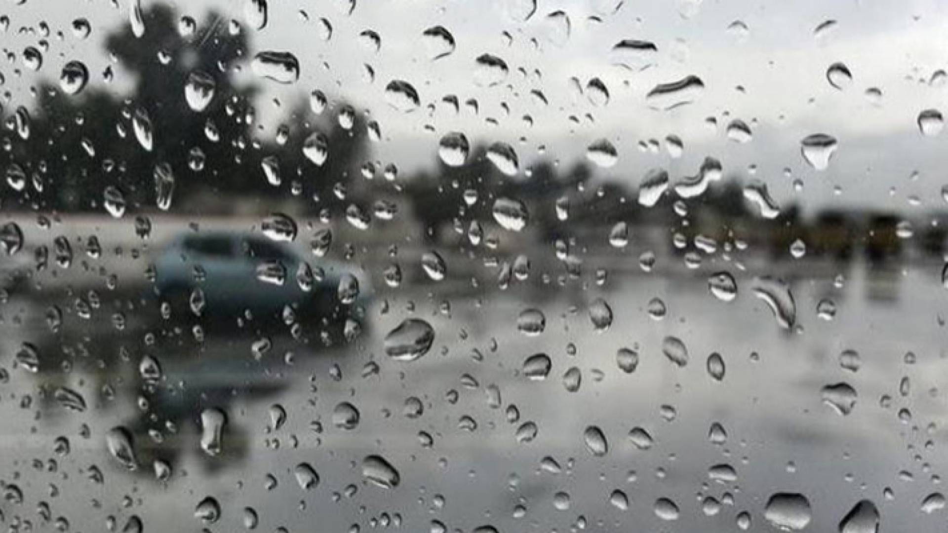 أمطار محلية