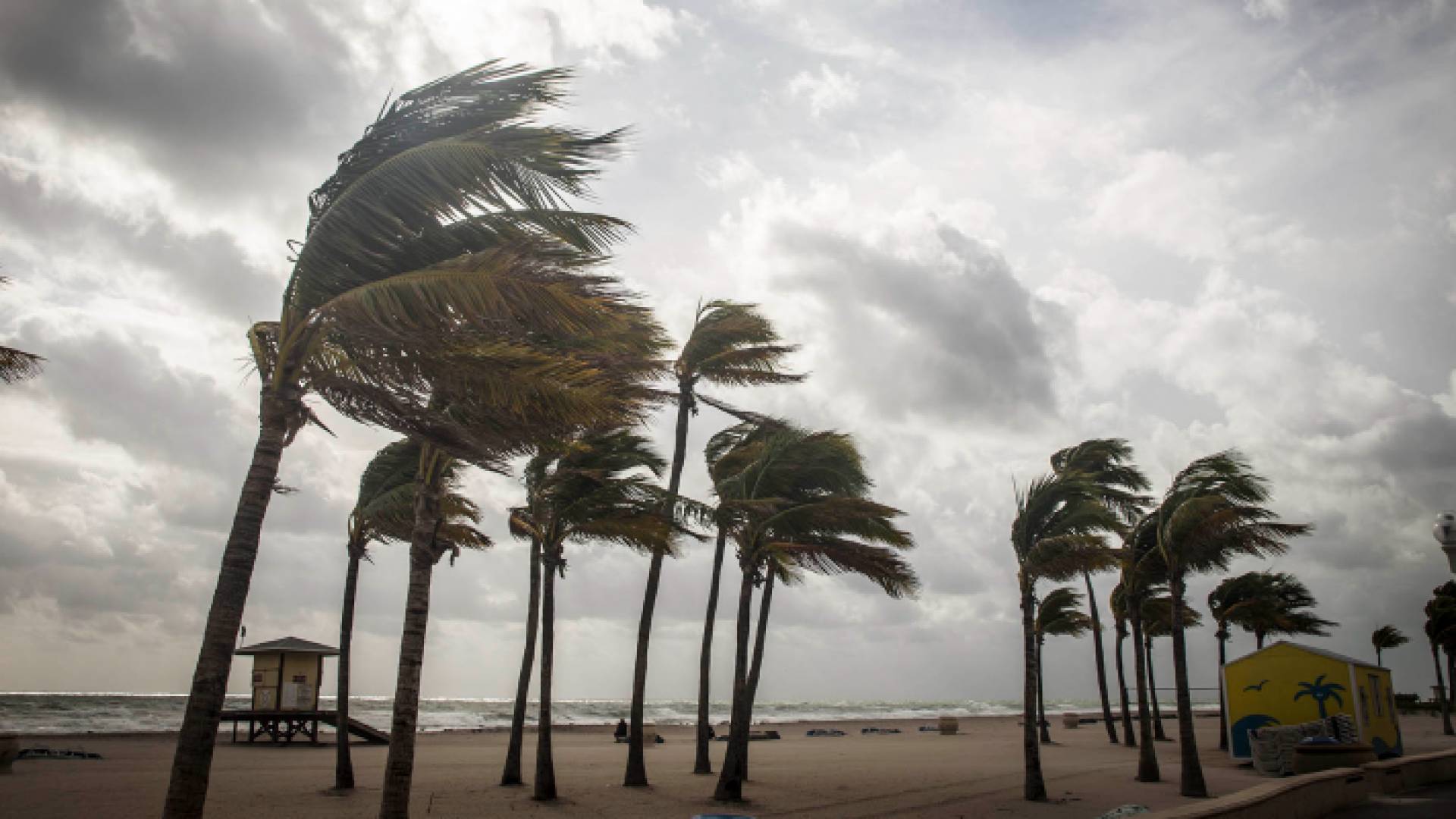 رياح عاتية - أرشيفية