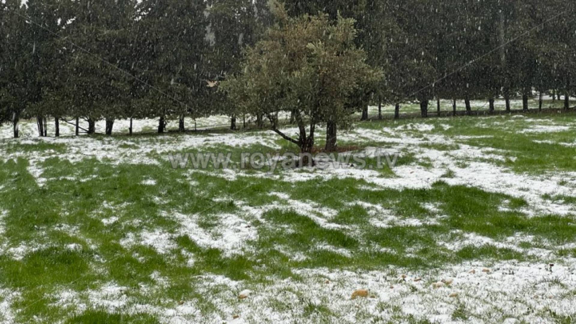 ثلوج على إحدى مناطق المملكة