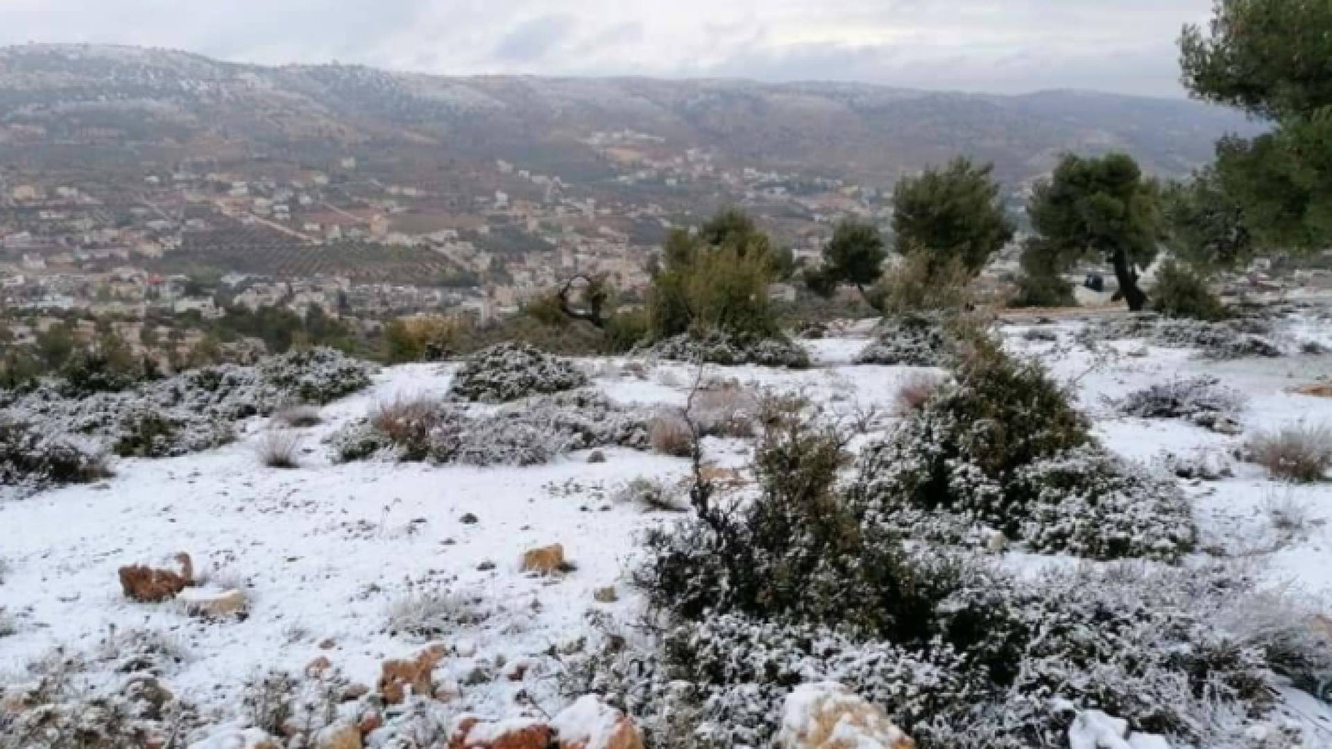 زخات ثلجية في إحدى مرتفعات الجبلية في الأردن