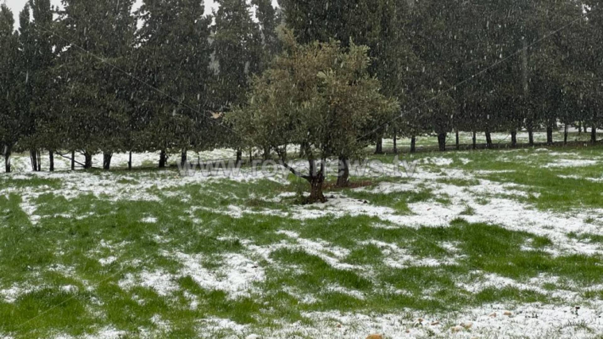 ثلوج متراكمة في أحد المناطق في المملكة