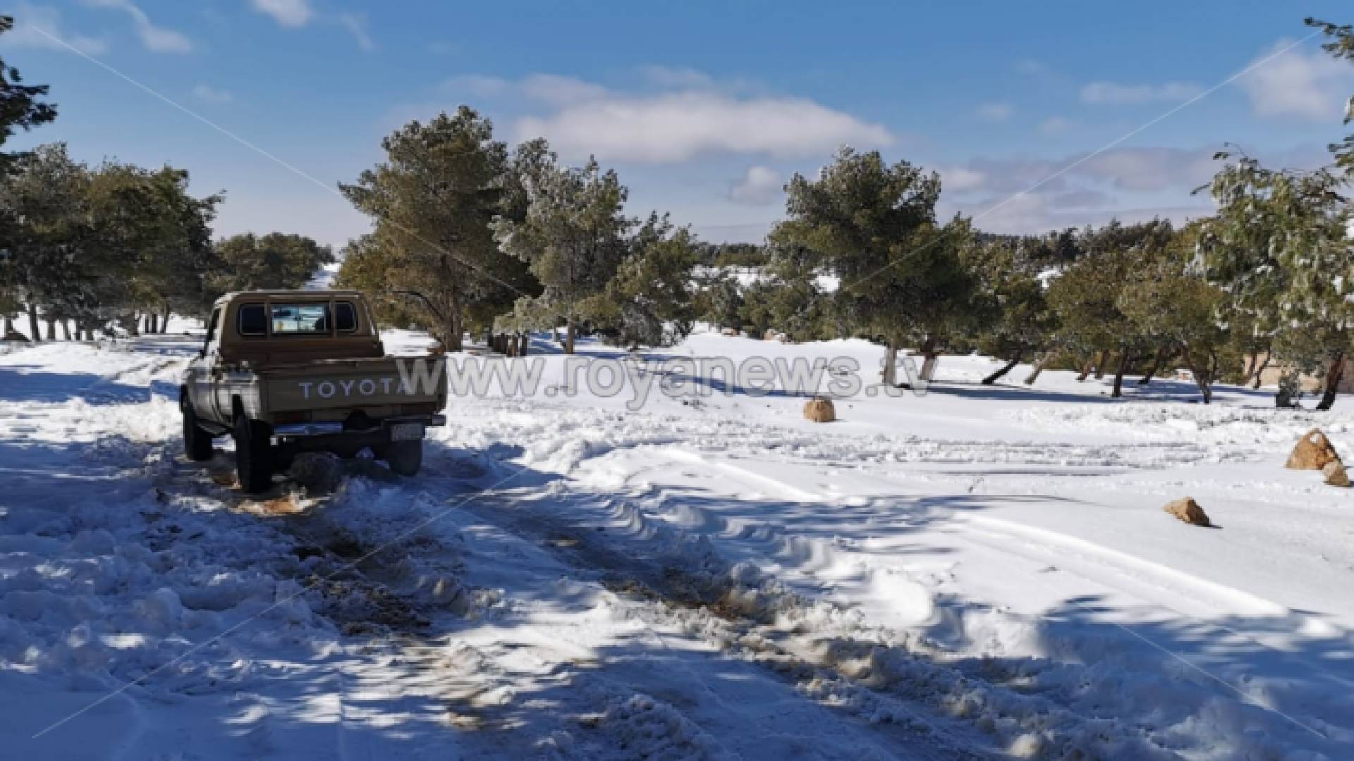 ثلوج الأردن