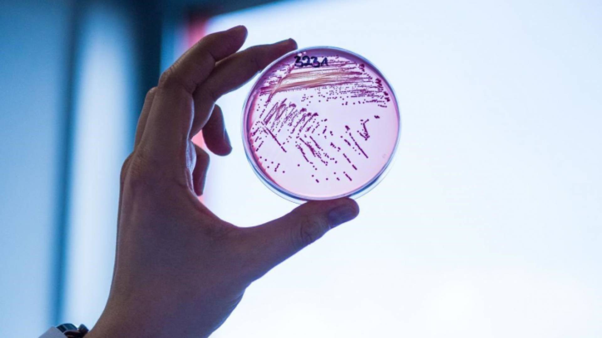 مختبرات طبية