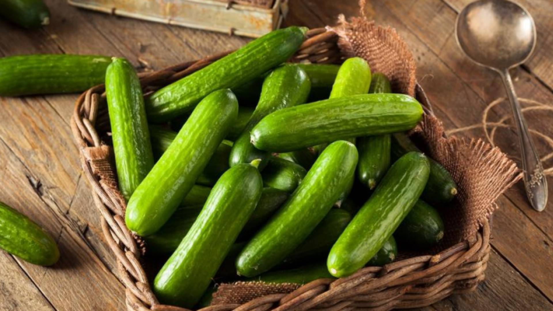 خيار - تعبيرية