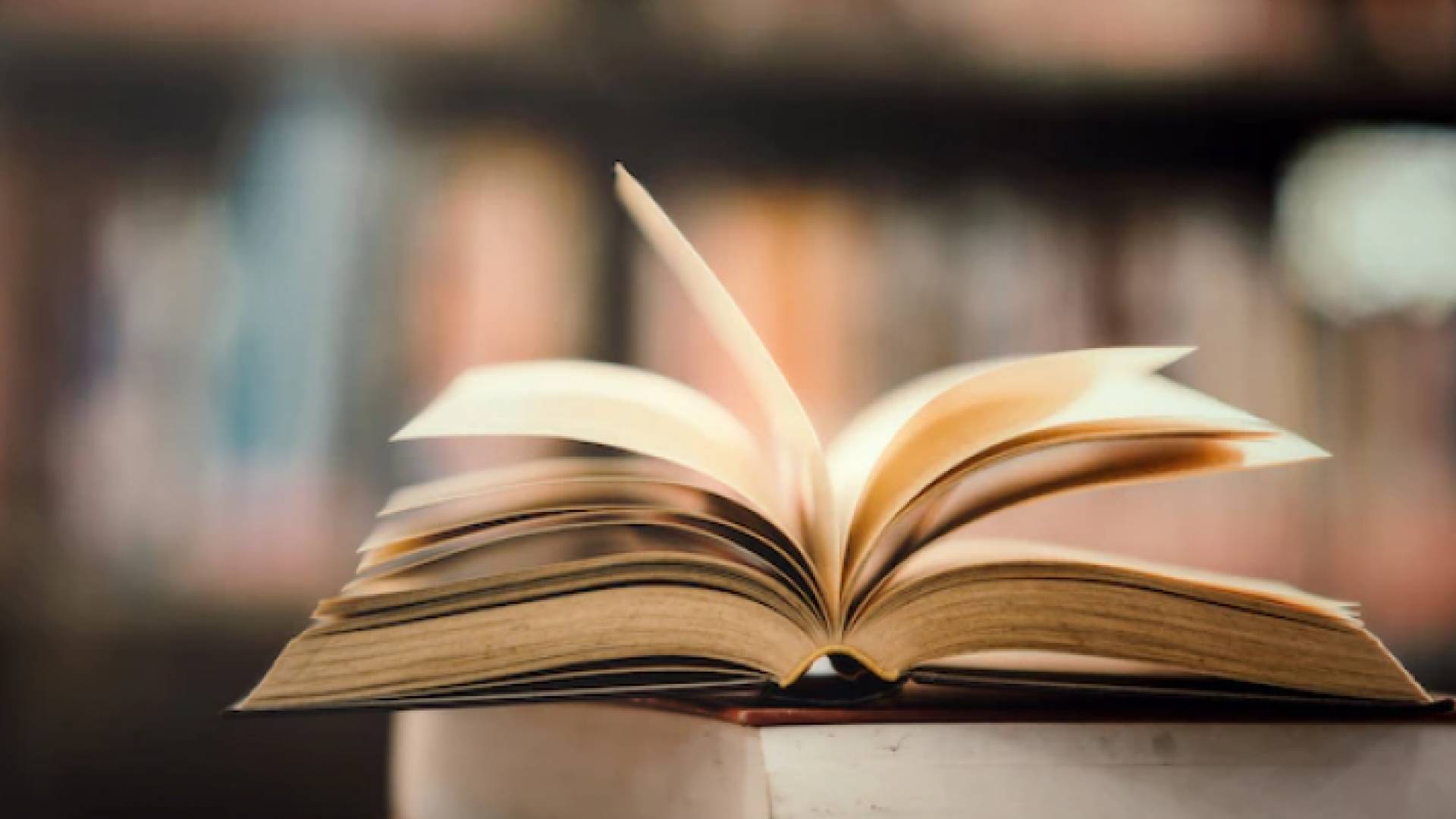 صورة تعبيرية لكتاب مفتوح