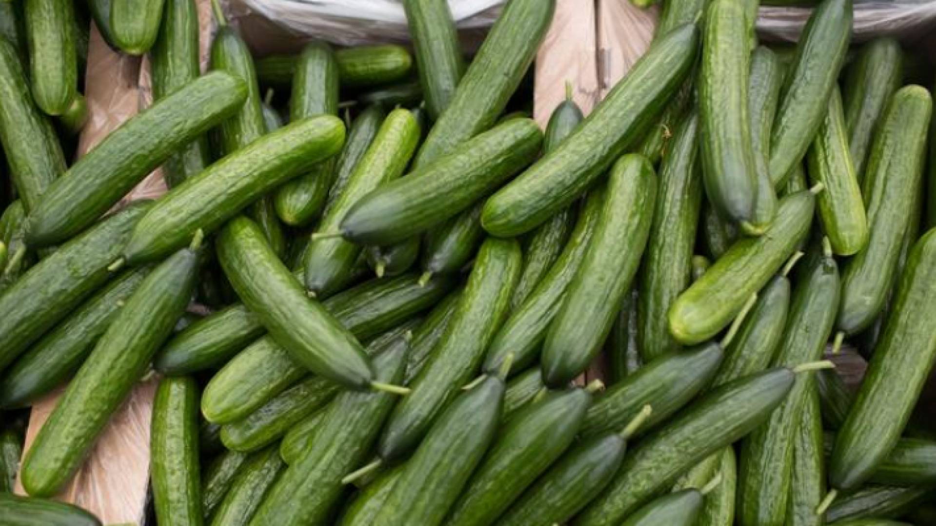 صنف الخيار في أحد الأسواق