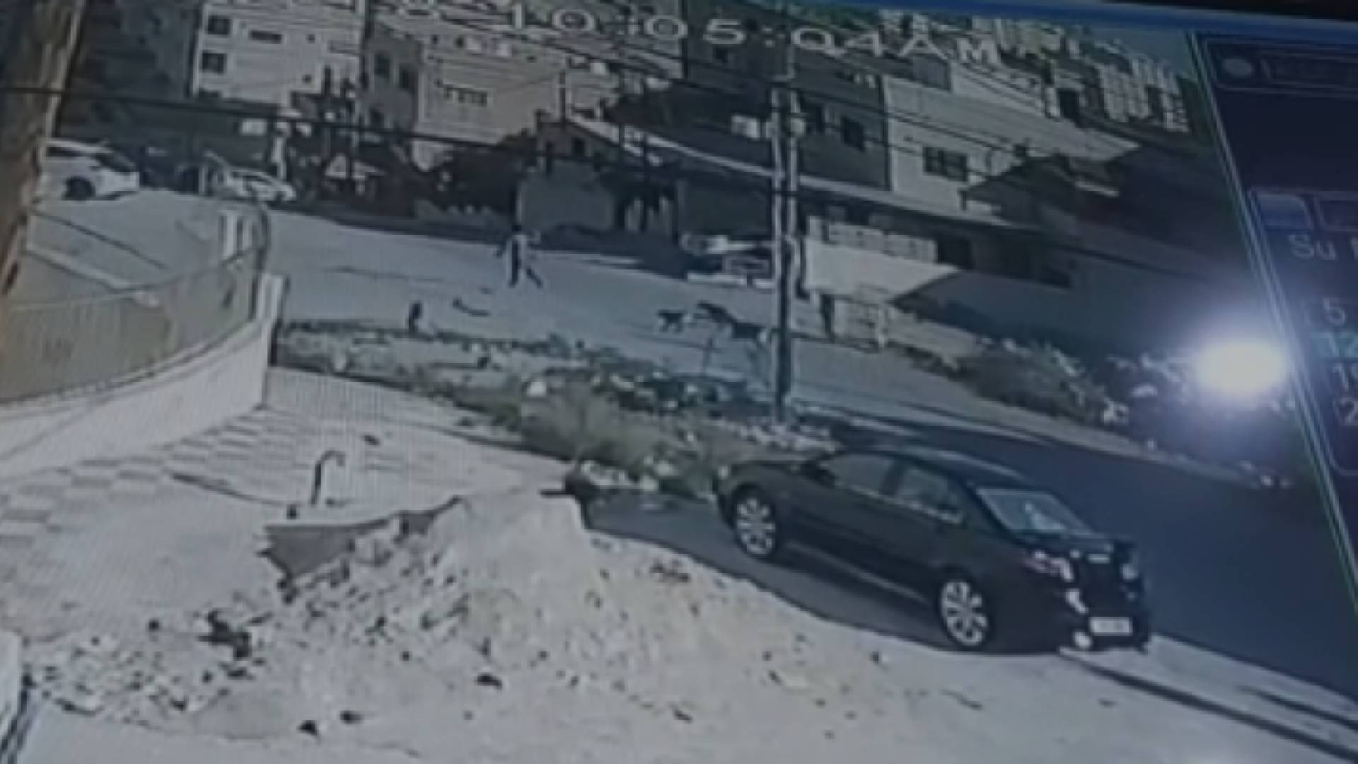 صورة من مقطع الفيديو المتداول