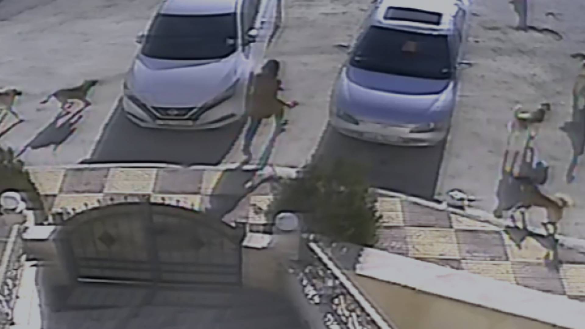 صورة من مقطع الفيديو المتداول