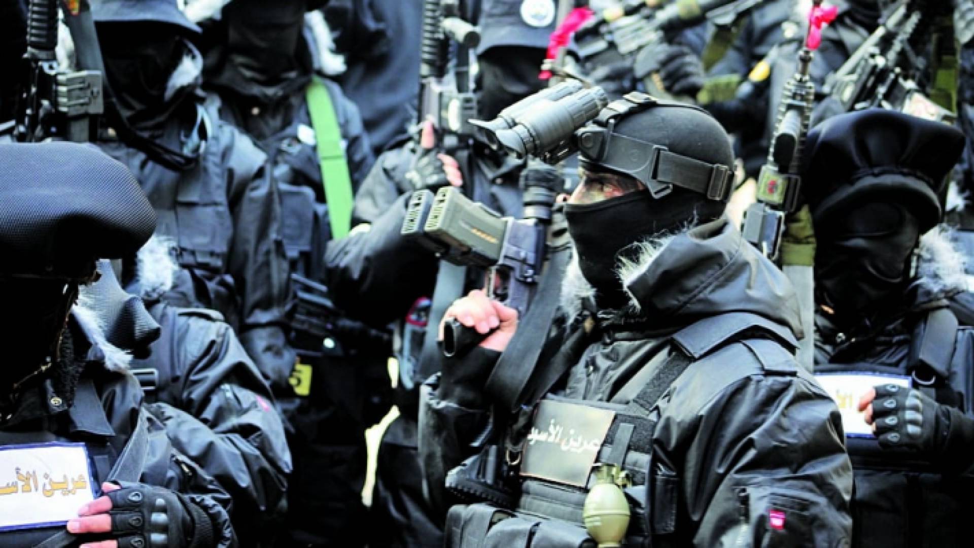 مجموعات عرين الأسود