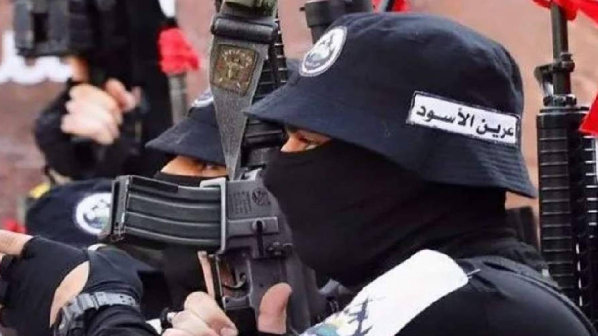 أحد أفراد مجموعة عرين الأسود