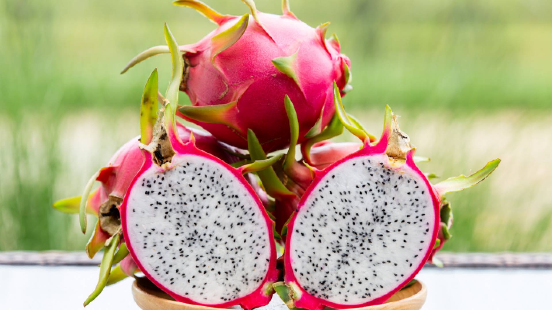 فاكهة الدراغون "التنين"