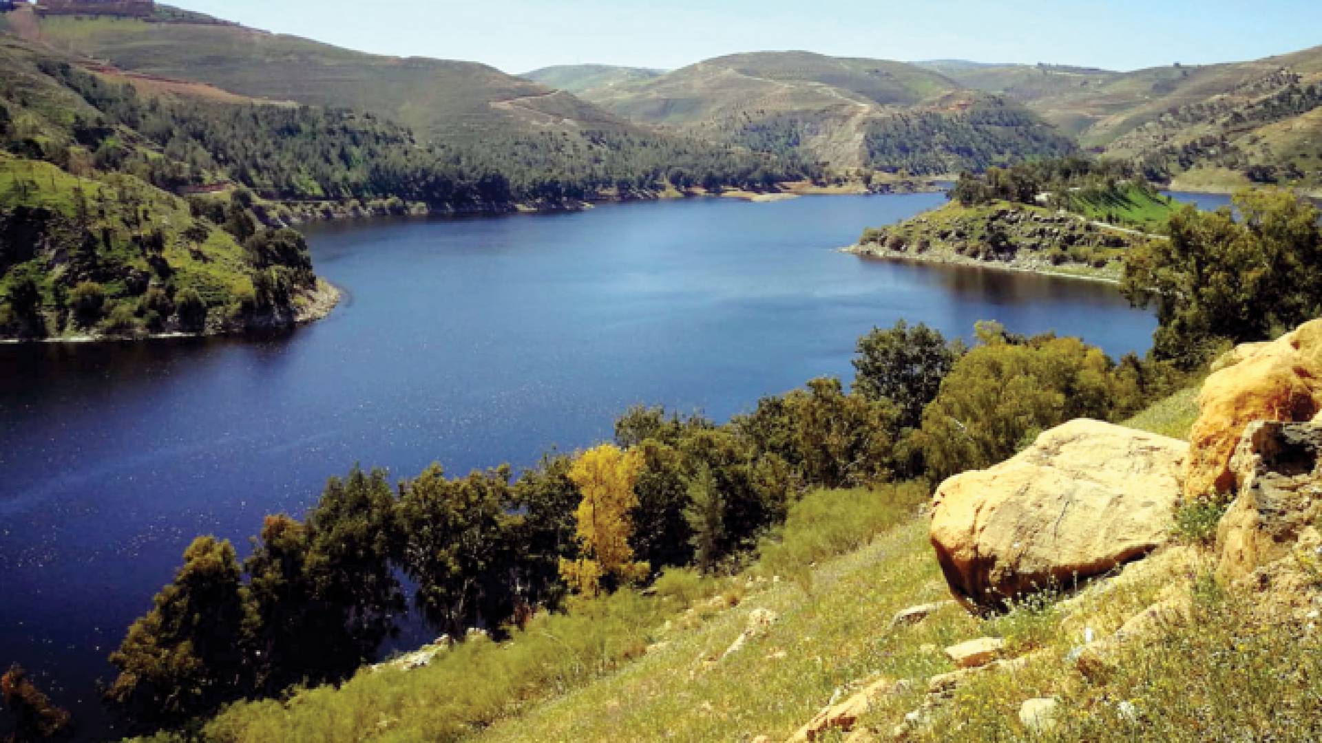 سد الملك طلال