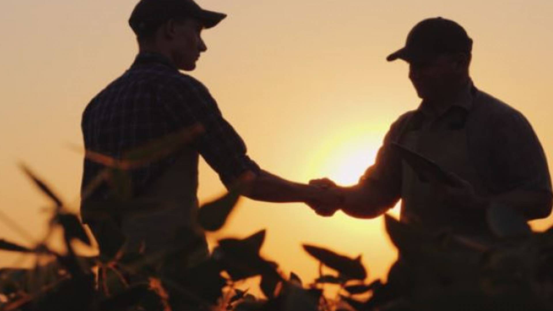 مشروع الصحراء الذكية